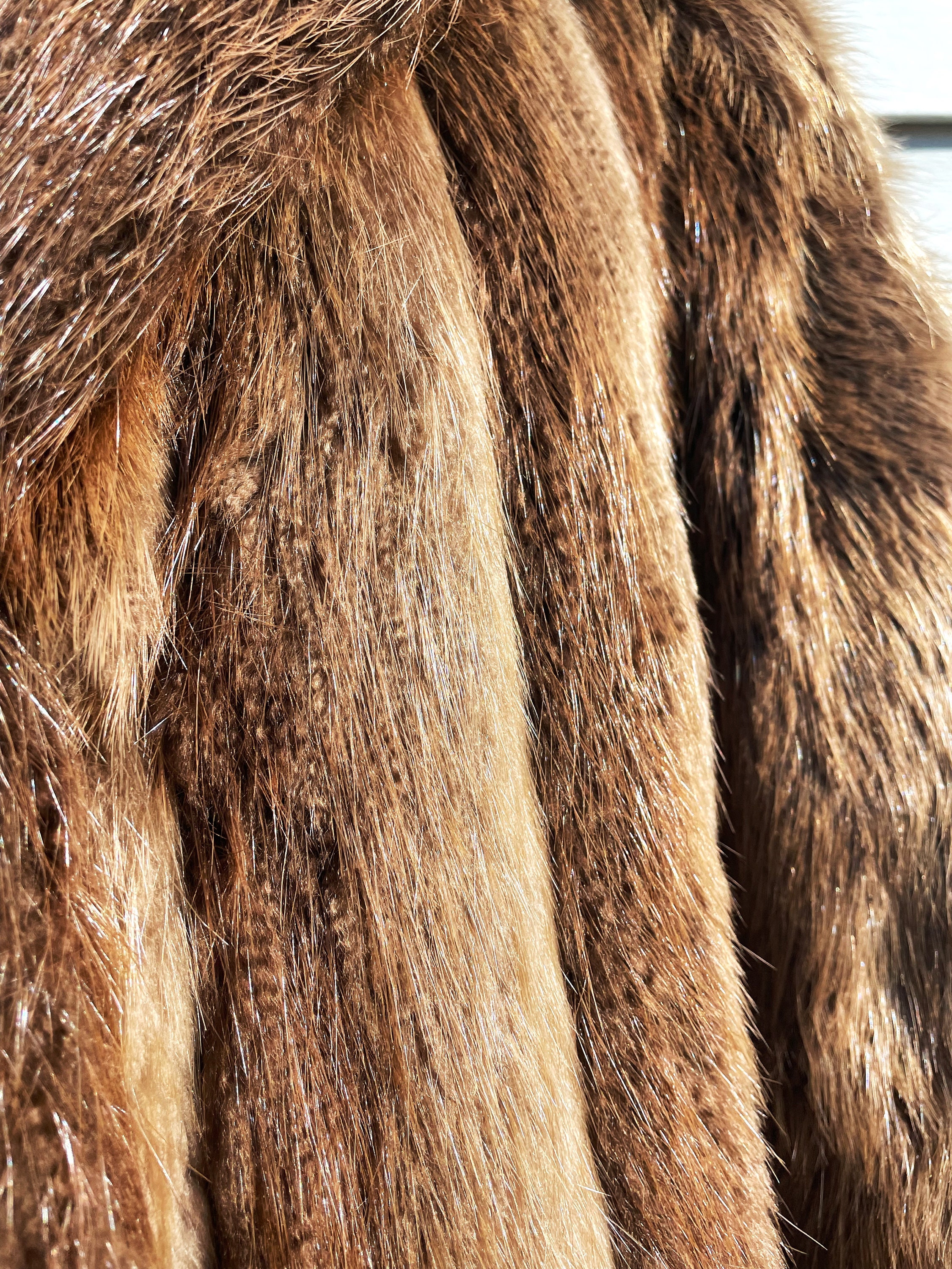 Long-haired Beaver Full Length Coat - Etsy