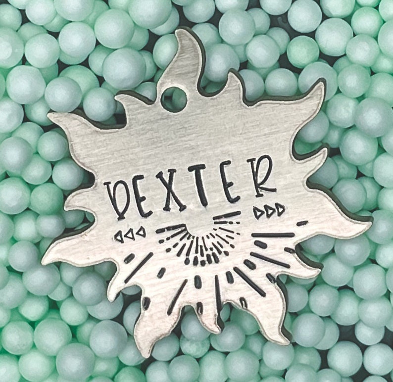 Custom Dog Tag, Dog Tags, Handcrafted Dog Tags, Summer Dog Tags, Cactus Dog Tag, Dog Tags for Dogs, Pet ID Tags, Pet Tags, Personalized image 1