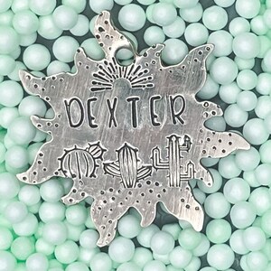 Aangepaste Dog Tag, Dog Tags, Handgemaakte Dog Tags, Zomer Dog Tags, Cactus Dog Tag, Dog Tags voor honden, Pet ID Tags, Pet Tags, Gepersonaliseerde
