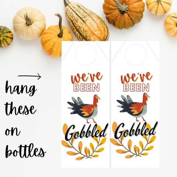 MERCH — Jolie Goodnight