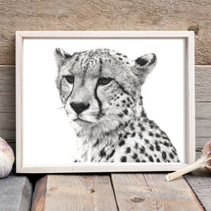 Cheetah Art Print, Cheetah Printable, Cheetah Wall Art, Cheetah Art Print, Big Cat Art, Cheetah Photo, African Animal Prints, Cheetah