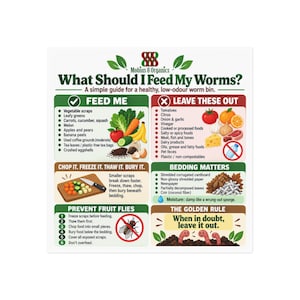 What Should I Feed My Worms? Square Magnet | Worm Bin Composting Guide