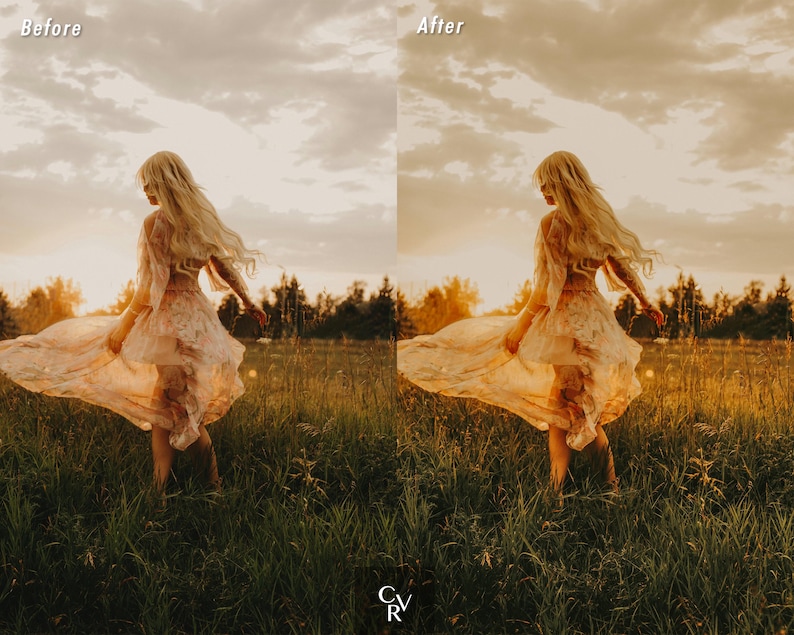May include: A woman in a flowing white dress with floral patterns stands in a field of tall grass. The sun is setting behind her, casting a warm golden glow on the scene.