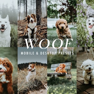 12 Pets Lightroom Presets. Desktop And Mobile. 12 Different Presets. Dogs, Puppy, Animal, Cats, Cute, Moody, Soft Presets for Instagram