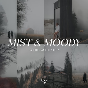 15 presets de névoa para Lightroom. Para desktop e dispositivos móveis. Filtro de edição de fotos com efeito de névoa, escuro e melancólico.