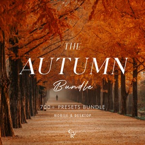 700+ AUTUMN Bundle Presets - Mobile and Desktop - Lightroom Preset Bundle for Instagram - Best Deal - Outdoor, Warm Tones, Vintage, Fall