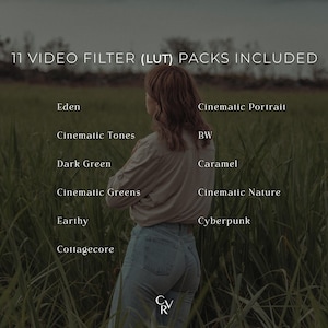 K&ouml;nnte beinhalten: Eine Frau steht in einem Feld mit hohem Gras, mit Text &uuml;berlagert auf dem Bild, der "11 VIDEO FILTER (LUT) PACKS INCLUDED" lautet und 11 verschiedene Videofilternamen auflistet.