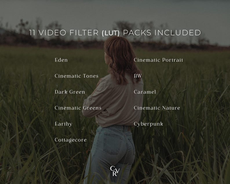 K&ouml;nnte beinhalten: Eine Frau steht in einem Feld mit hohem Gras, mit Text &uuml;berlagert auf dem Bild, der "11 VIDEO FILTER (LUT) PACKS INCLUDED" lautet und 11 verschiedene Videofilternamen auflistet.