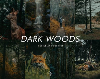 15 Dark Lightroom Presets. Desktop And Mobile. Earthy, Green, Forest Photo Filter