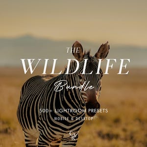 Puede incluir: Una cebra se encuentra en un campo de hierba con el texto THE WILDLIFE Bundle 500+ LIGHTROOM PRESETS MOBILE & DESKTOP y las letras CRV impresas sobre la imagen. La cebra tiene rayas blancas y negras y mira hacia adelante en un paisaje de tonos cálidos.