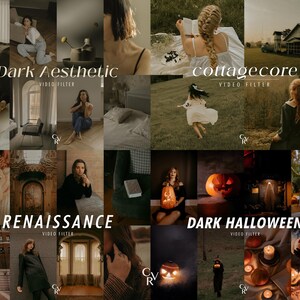 May include: A collection of images with a dark aesthetic theme, featuring scenes labelled "Dark Aesthetic," "cottagecore," "Renaissance," and "Dark Halloween." The images showcase diverse settings and subjects, with text overlays indicating video filter categories.