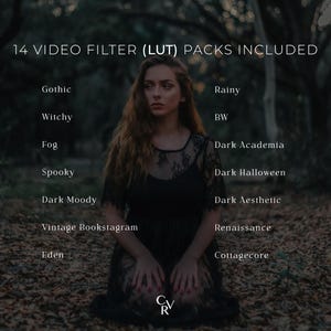 May include: A woman in a black dress kneels in a forest setting. The image includes text stating "14 VIDEO FILTER (LUT) PACKS INCLUDED" and lists video filter names such as "Gothic" and "Dark Aesthetic".