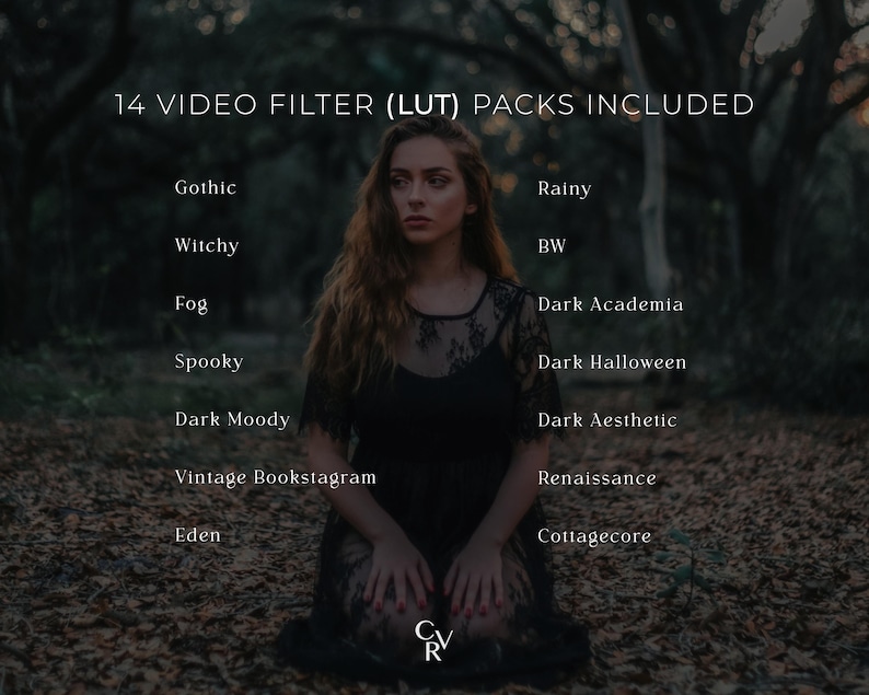 May include: A woman in a black dress kneels in a forest setting. The image includes text stating "14 VIDEO FILTER (LUT) PACKS INCLUDED" and lists video filter names such as "Gothic" and "Dark Aesthetic".