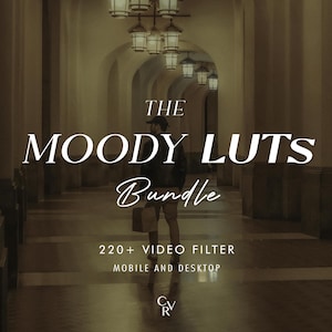 220+ MOODY LUTS Video Filter - Mobil- und Desktop-kompatibel - Color Grading Video Schnitt Bundle für Instagram - Bester Angebot - Vintage, Warm