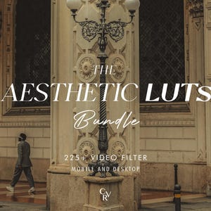 Op de afbeelding: Een afbeelding van een Europees gebouw met de tekst "THE AESTHETIC LUTS Bundle" in witte letters. De afbeelding bevat ook de tekst "225+ VIDEO FILTER" en "MOBILE AND DESKTOP". Een persoon in een pak loopt op de achtergrond.