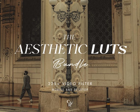 225+ AESTHETIC LUTS Video Filter - Mobile and Desktop - Color Grading Video Editing Bundle for Instagram - Best Deal - Urban, Academia, Dark