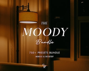 750+ MOODY Bundle Presets - Mobile and Desktop - Lightroom Preset Bundle for Instagram - Best Deal - Dark, Minimal, Influencer