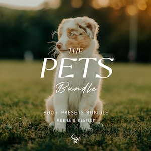 以下が含まれることがあります： 白い毛と茶色の毛のオーストラリア・シェパードの犬の赤ちゃんが草地のフィールドに座っています。画像に「THE PETS Bundle 600+ PRESETS BUNDLE MOBILE & DESKTOP」というテキストが重ねられています。