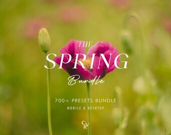 Más de 700 ajustes preestablecidos SPRING Bundle - Móvil y escritorio - Paquete de ajustes preestablecidos de Lightroom - Filtro estético y limpio