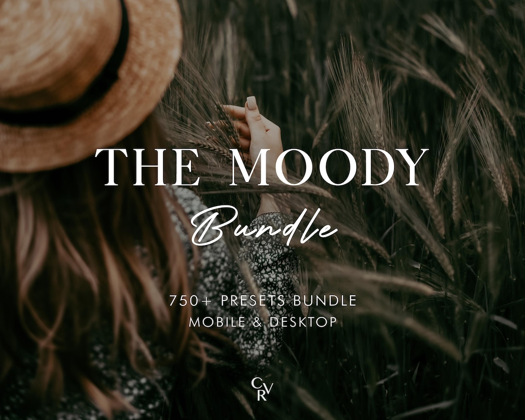 750+ MOODY Bundle Presets - Mobile and Desktop - Lightroom Preset ...