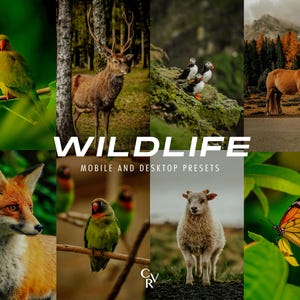 15 種類の野生動物 Lightroom プリセット。デスクトップとモバイル。動物、ジャングル、鳥、土、森、屋外写真撮影用の旅行ブロガー フィルター