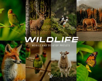 15 presets de Lightroom para fotografia de vida selvagem. Compatíveis com desktop e dispositivos móveis. Filtros para fotografia de animais, selva, pássaros, natureza, floresta e viagens, ideais para blogueiros e fotógrafos de paisagens.