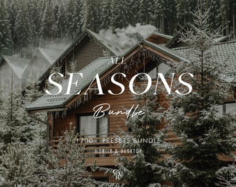 1700+ ALL SEASONS Bundle Presets - Mobile and Desktop - Lightroom Preset Bundle, December, Nordic Filter