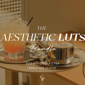 Puede incluir: Imagen est&eacute;tica con un c&oacute;ctel y un caf&eacute; en una taza plateada sobre una peque&ntilde;a mesa redonda. El texto "THE AESTHETIC LUTS BUNDLE" se muestra, junto con "225+ VIDEO FILTER MOBILE AND DESKTOP".