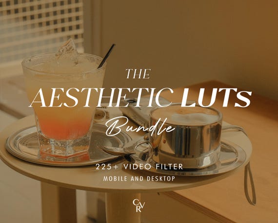 225+ AESTHETIC LUTS Video Filter - Mobile and Desktop - Color Grading Video Editing Bundle for Instagram - Best Deal - Warm Tone, Minimalist