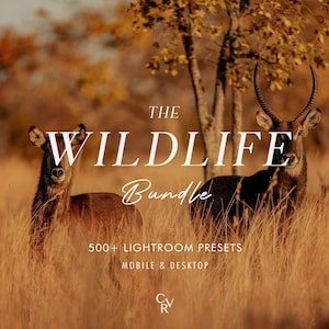 Op de afbeelding: Twee waterbokken staan in hoog, goudbruin gras. De tekst luidt: THE WILDLIFE Bundle 500+ LIGHTROOM PRESETS MOBILE & DESKTOP. Een klein CRV-logo staat onderaan. De scène is gehuld in warm, natuurlijk licht met bomen op de achtergrond.
