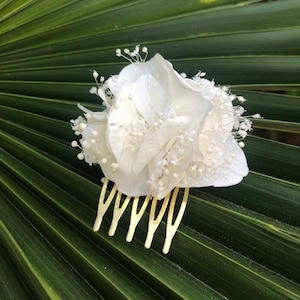 Stabilized natural hydrangea comb