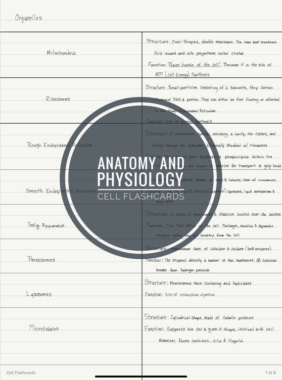 Anatomy &amp; Physiology PDF Flash Cards Cells - Etsy