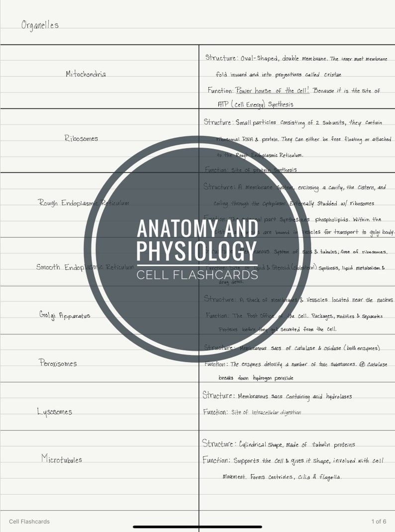 Anatomy &amp; Physiology PDF Flash Cards; Cells - Etsy