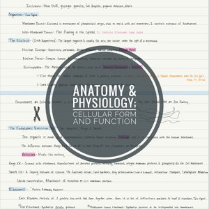 Puede incluir: Una página de notas escritas a mano sobre la forma y la función celular. La página incluye un diagrama de una célula con partes etiquetadas, incluyendo el núcleo, el citoplasma y el retículo endoplásmico. El texto trata sobre los diferentes componentes de la célula y sus funciones.