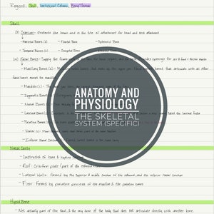 Notas en PDF de anatomía y fisiología; El sistema esquelético (específico) imprimible