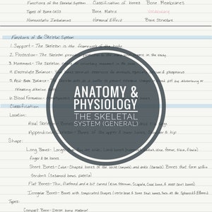 Notas en formato PDF sobre anatomía y fisiología; El sistema esquelético para imprimir