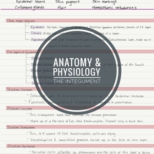 Notas en formato PDF sobre anatomía y fisiología; El tegumento