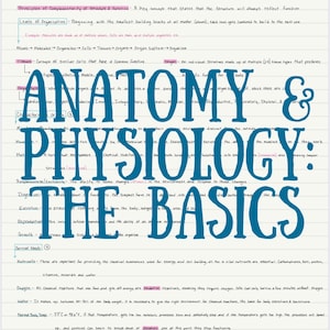 Notas en formato PDF sobre anatomía y fisiología; conceptos básicos para imprimir