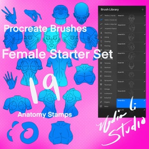 Procreate Anatomy Brushes (19 digitale postzegels) Startpakket - Vrouwelijk