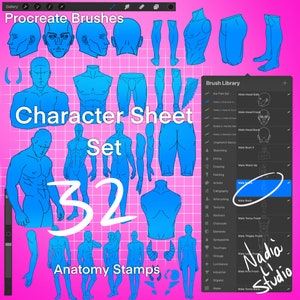 Procreate Anatomy Brushes (32 digital stamps) Character Sheet Set 2.0 Male Ver