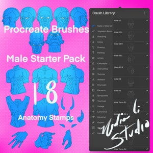 Procreate Anatomy Brushes (18 digital stamps) Starter Pack - Male