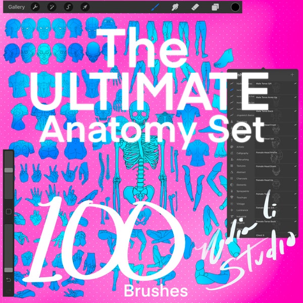 Procreate Anatomy Brushes (100 digital stamps) The ULTIMATE Set