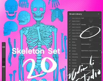 May include: A set of 20 Procreate brushes featuring a skeleton anatomy theme. The brushes include a full skeleton, skull, spine, ribs, hands, legs, and pelvis. The brushes are designed for use in digital art and illustration.