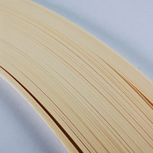 May include: Close-up of the edge of a book with cream-colored pages. The pages are stacked and fanned out, creating a curved shape.