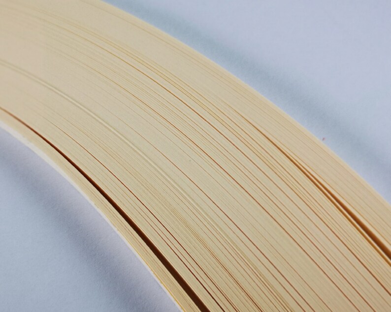 May include: Close-up of the edge of a book with cream-colored pages. The pages are stacked and fanned out, creating a curved shape.