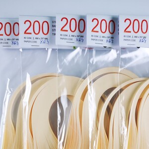May include: Five packages of 200 cream-colored paper strips, each package labeled "200" and "80 GSM, 5 MM x 297 MM, PAPER CODE X64 or X67". The strips are packaged in clear plastic bags.