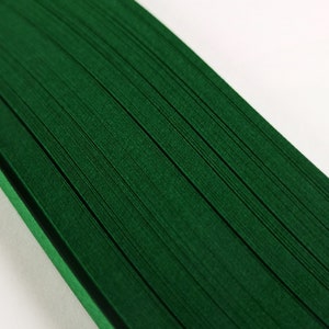 1000 tiras de papel para filigrana, color verde bosque, 5 mm, 80 g/m², D53, 5 paquetes