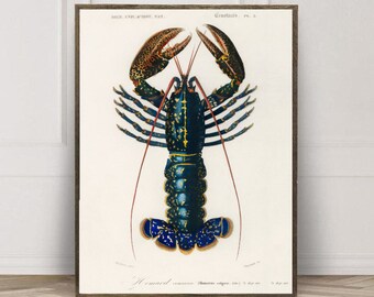 Lobster Wall Art Etsy