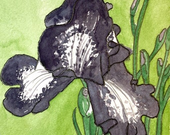 Iris, Tiny Watercolor, Small Painting, Unique Gift, One of A Kind, Original Art, Original Watercolor