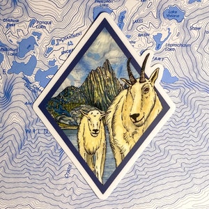 May include: A diamond-shaped sticker with a watercolor illustration of two mountain goats in front of a mountain range. The goats are white with brown markings and are standing on a blue and green landscape. The sticker has a blue border.